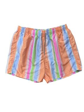 Boardies Men's Multicolor Citrus Striped Shortie Swim Trunks Shorts XL